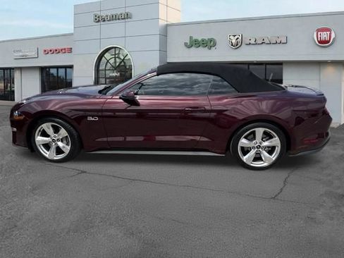Used 2018 Ford Mustang GT Premium w/ Equipment Group 401A RWD image 5