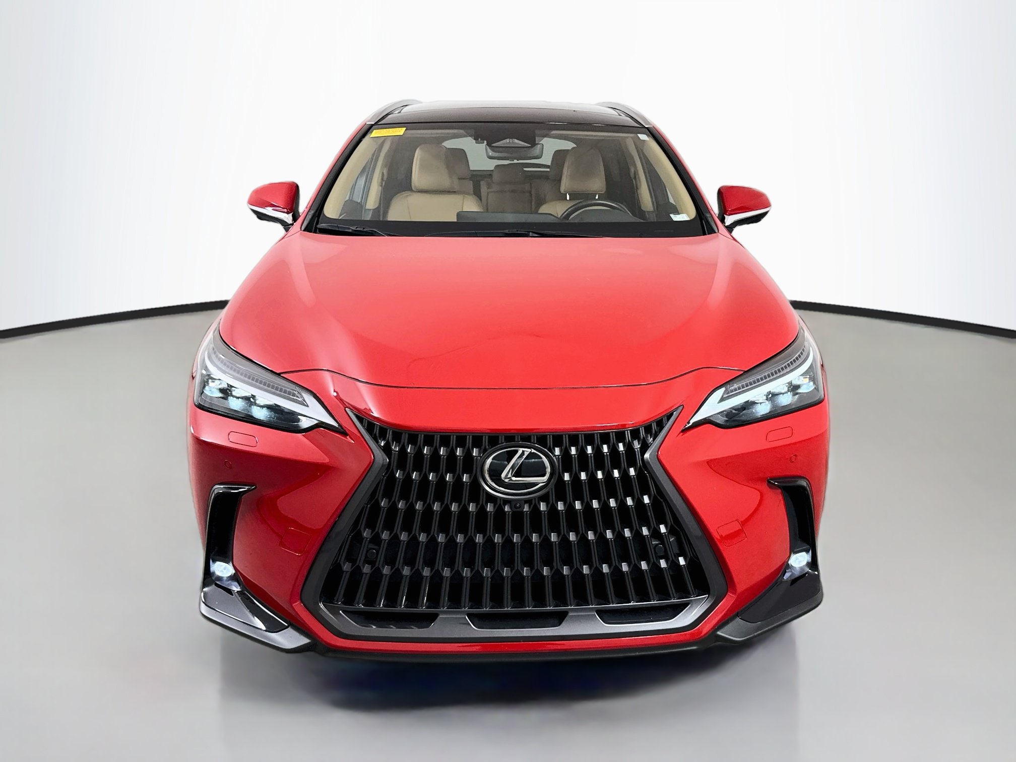 Used 2025 Lexus NX 350h AWD w/ Cold Area Package image 2