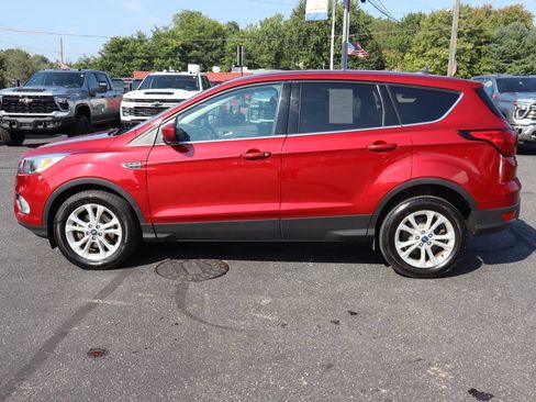 Used 2019 Ford Escape SE FWD image 29
