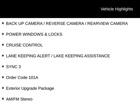 Certified 2025 Ford Transit 250 Low Roof w/ Exterior Upgrade Package RWD image 4