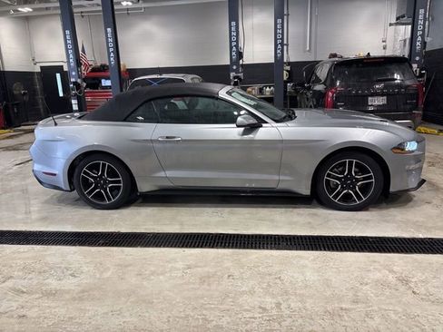 Used 2023 Ford Mustang Premium image 4