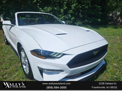Used 2019 Ford Mustang Convertible image 6