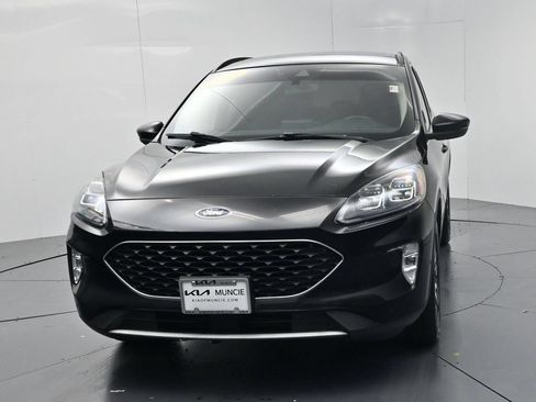 Used 2020 Ford Escape Titanium AWD/4WD image 3