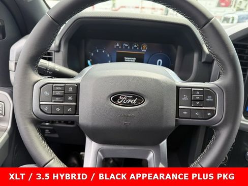 New 2025 Ford F150 XLT w/ Equipment Group 302A MID image 23