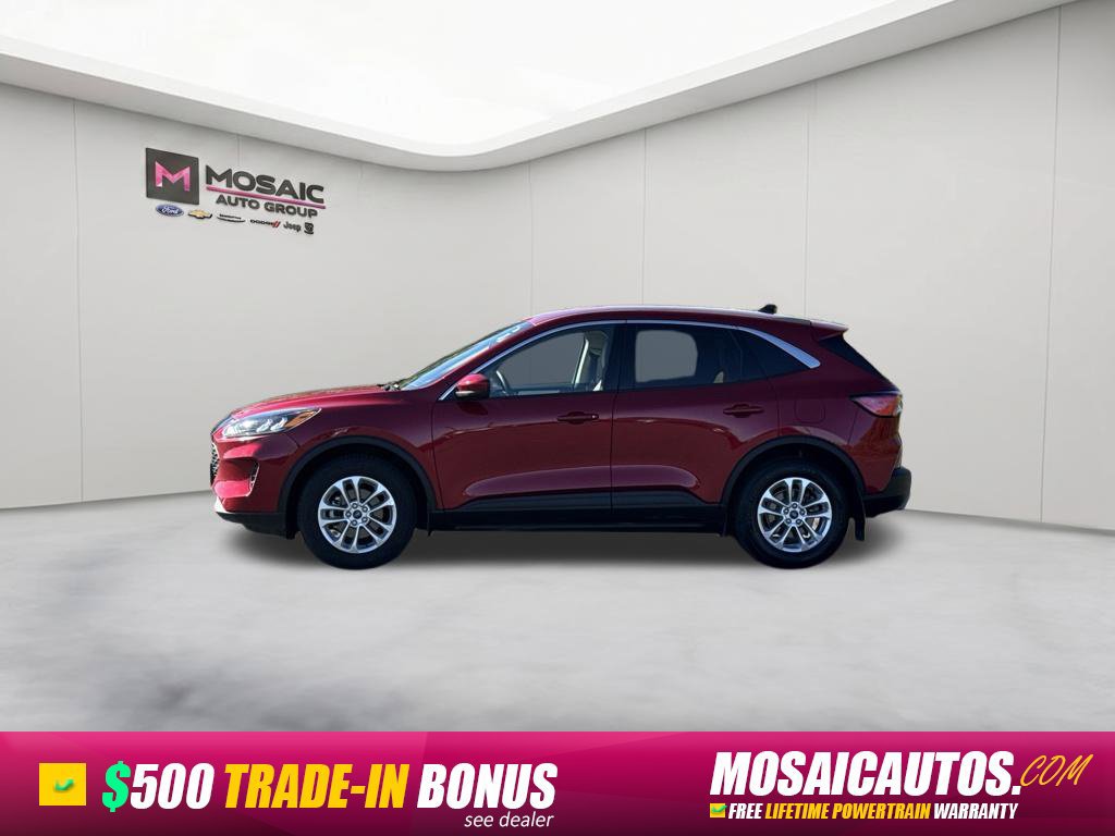 Used 2020 Ford Escape SE AWD/4WD image 4