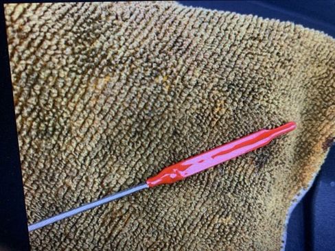 Used 2025 Kia Carnival SX Prestige image 39