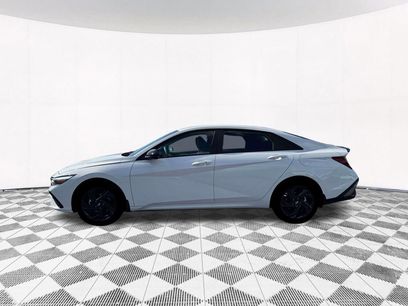 New 2026 Hyundai Elantra Sport