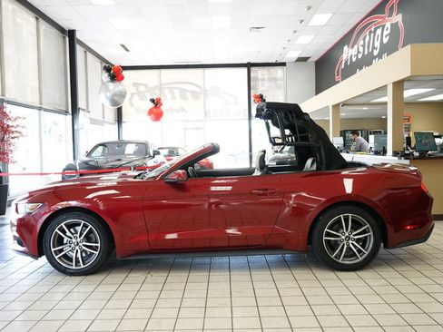 Used 2015 Ford Mustang Premium RWD image 5
