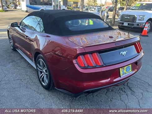 Used 2017 Ford Mustang Premium image 7