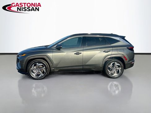 Used 2023 Hyundai Tucson Limited image 5