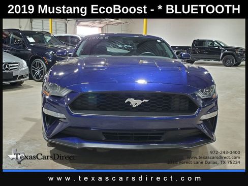 Used 2019 Ford Mustang Coupe image 2