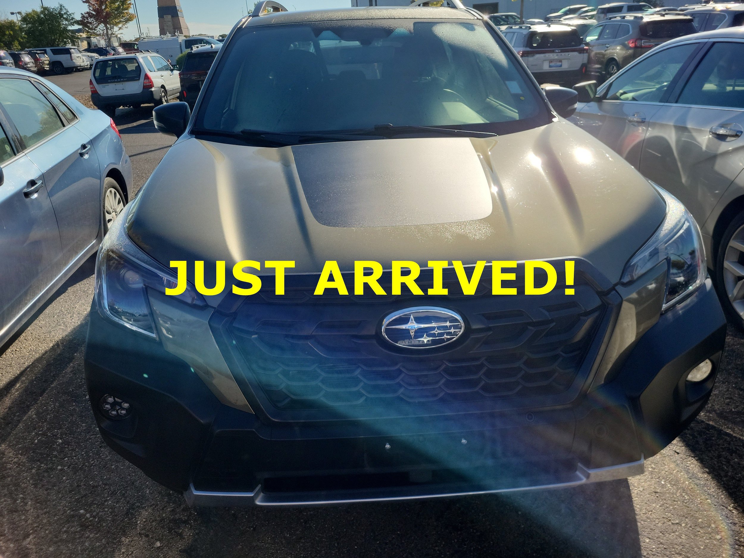 Used 2023 Subaru Forester Wilderness AWD/4WD image 3