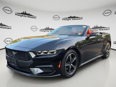 Used 2024 Ford Mustang Premium