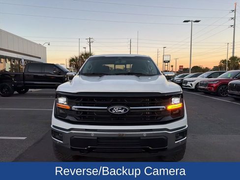 Used 2024 Ford F150 XLT w/ Equipment Group 303A High image 3