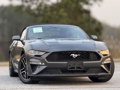 Used 2019 Ford Mustang Premium image 3