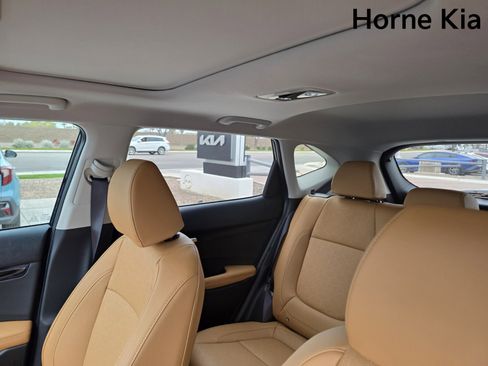 New 2026 Kia Seltos EX w/ EX Sunroof Package image 12