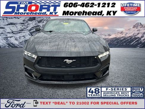 New 2026 Ford Mustang Coupe image 8