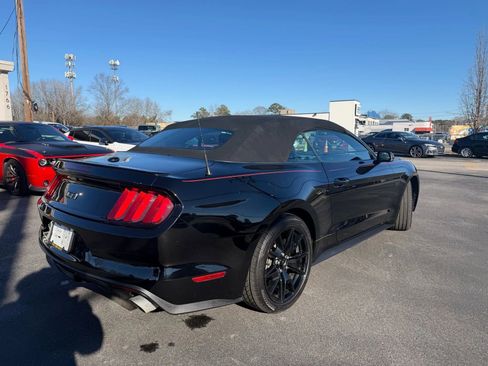 Used 2017 Ford Mustang GT Premium w/ Equipment Group 401A image 5