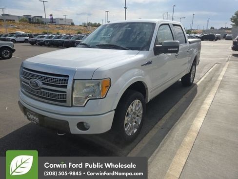 Used 2010 Ford F150 Platinum AWD/4WD image 1