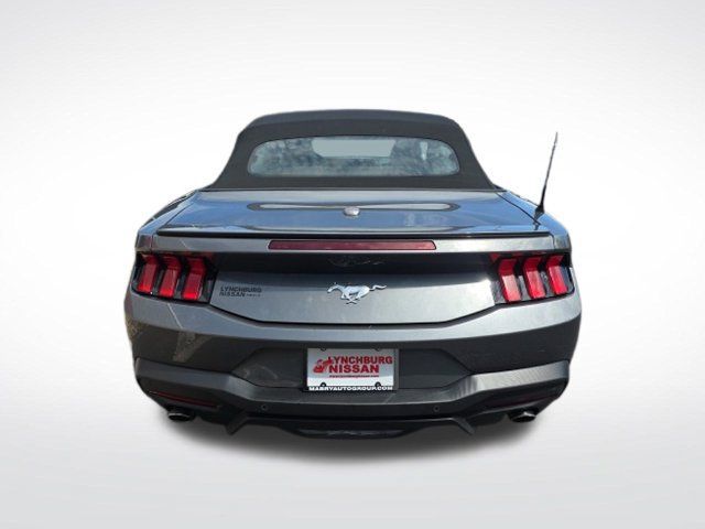 Used 2025 Ford Mustang Premium RWD image 5