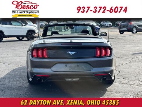 Used 2019 Ford Mustang Premium RWD image 5