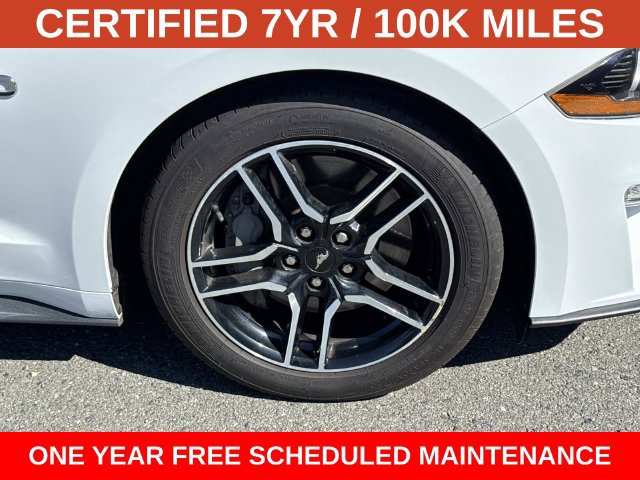 Used 2023 Ford Mustang GT RWD image 7