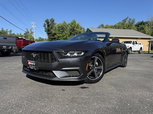 Used 2024 Ford Mustang Premium RWD image 1