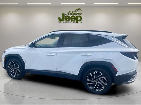 Used 2025 Hyundai Tucson Limited AWD/4WD image 4