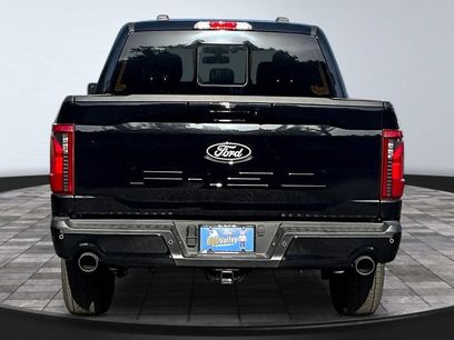 New 2026 Ford F150 XLT w/ Equipment Group 303A High