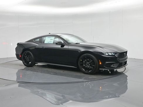 New 2026 Ford Mustang Coupe w/ Mustang Nite Pony Package image 6