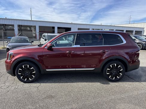 Certified 2024 Kia Telluride SX Prestige image 4