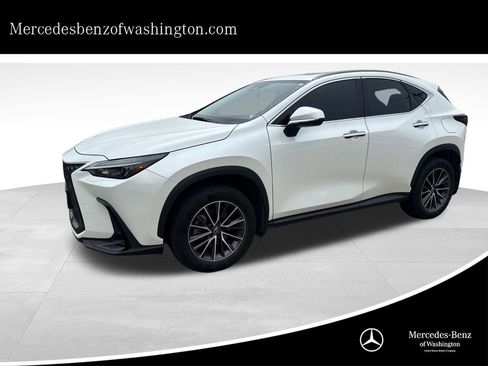 Used 2024 Lexus NX 350 AWD w/ Cold Area Package image 1