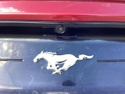 Used 2019 Ford Mustang Premium w/ Enhanced Security Package image 13