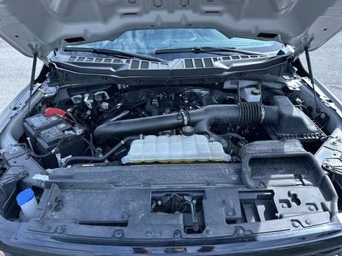 Used 2025 Ford F150 XLT w/ Equipment Group 301A Standard AWD/4WD image 19