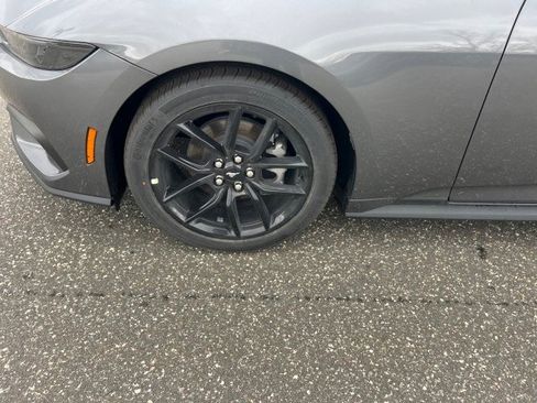 New 2026 Ford Mustang Coupe w/ Mustang Nite Pony Package image 30