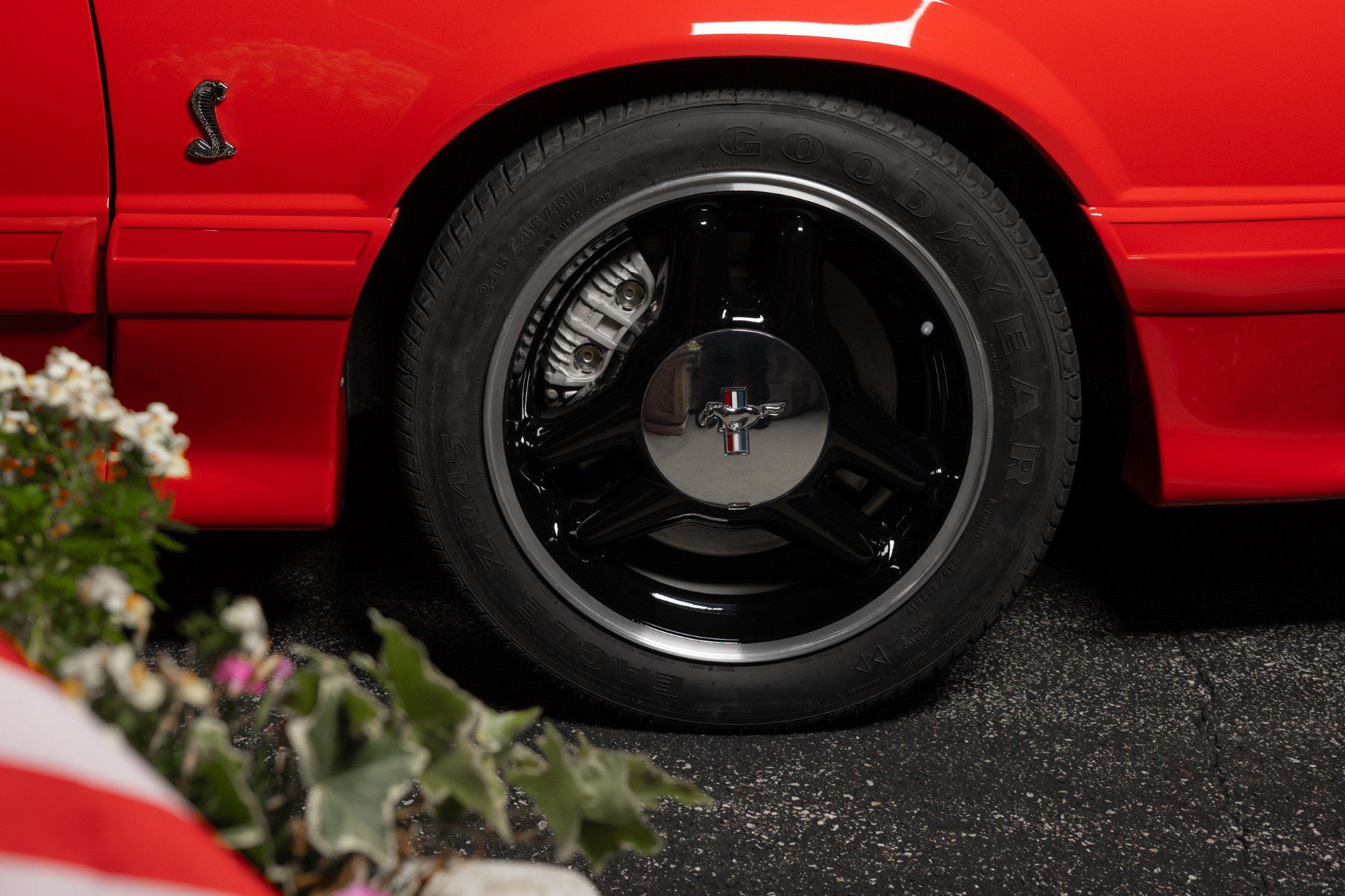 Used 1993 Ford Mustang Cobra RWD image 79