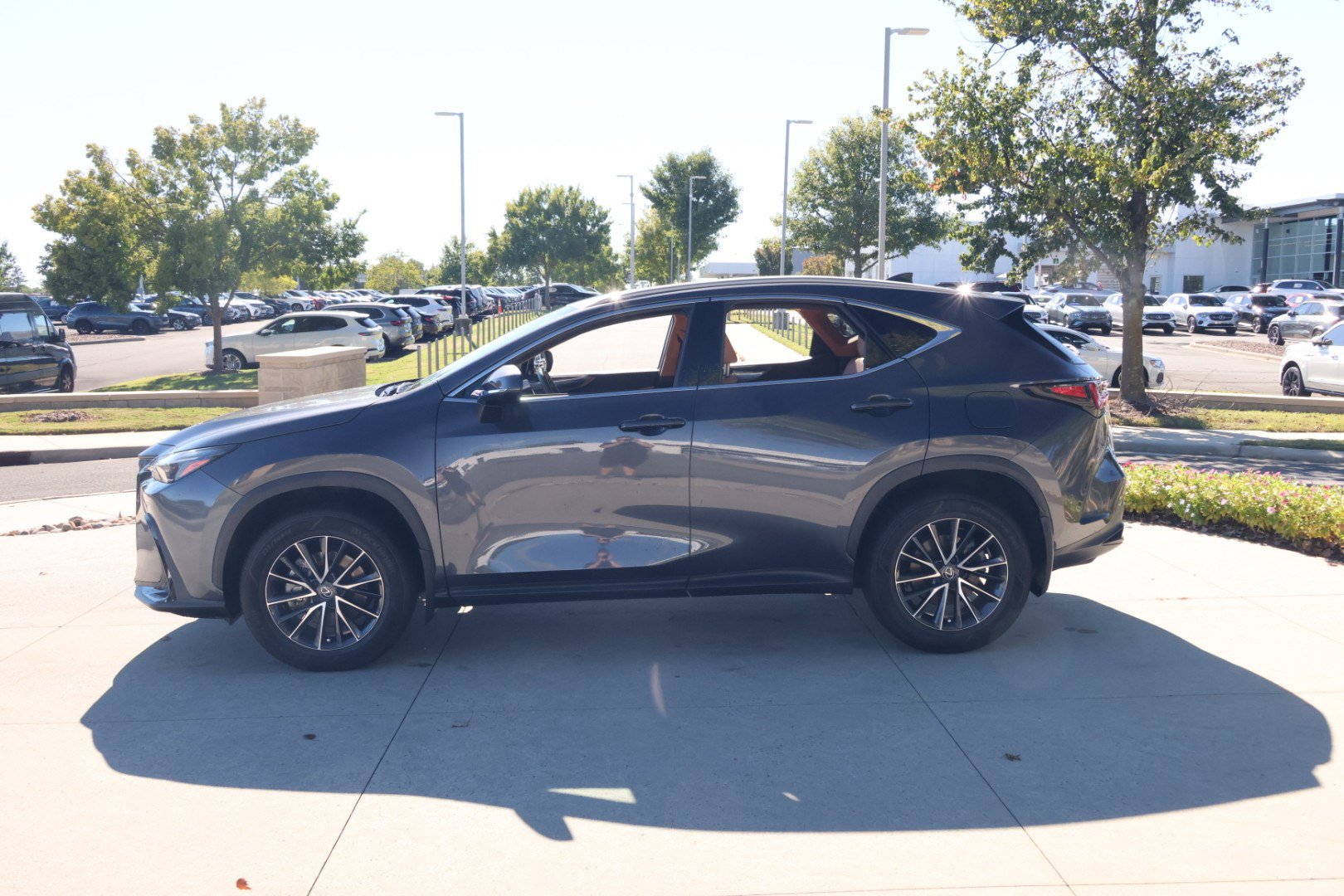 Certified 2024 Lexus NX 250 FWD image 6