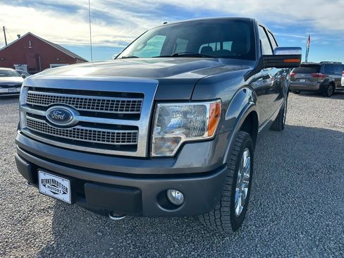 Used 2010 Ford F150 Platinum image 4