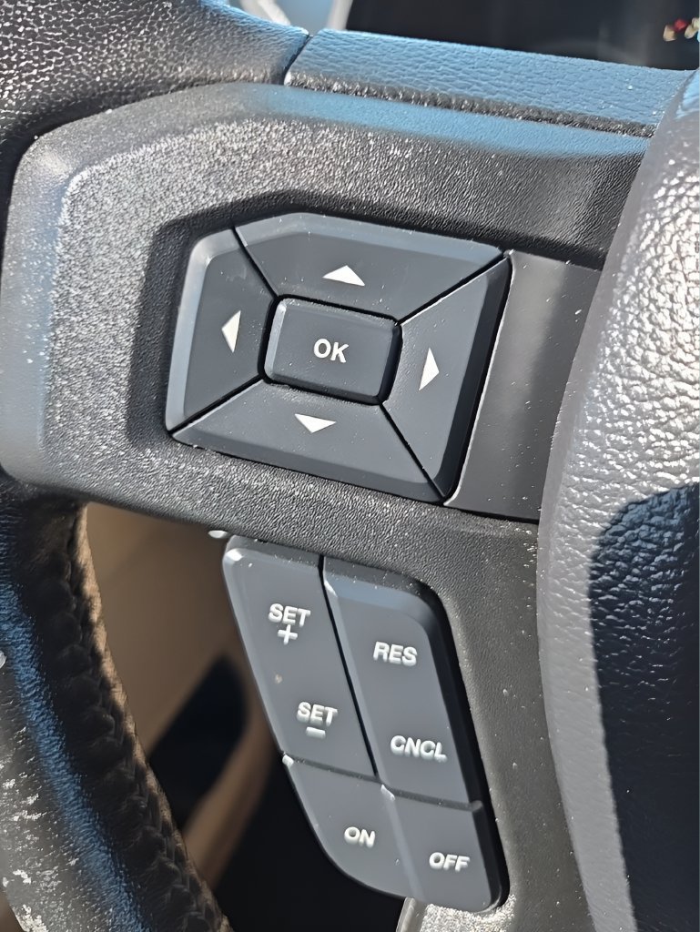 Used 2019 Ford F150 XLT w/ Equipment Group 302A Luxury AWD/4WD image 24