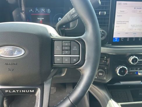 New 2025 Ford F250 Platinum image 22