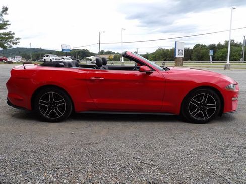 Used 2020 Ford Mustang Premium RWD image 12