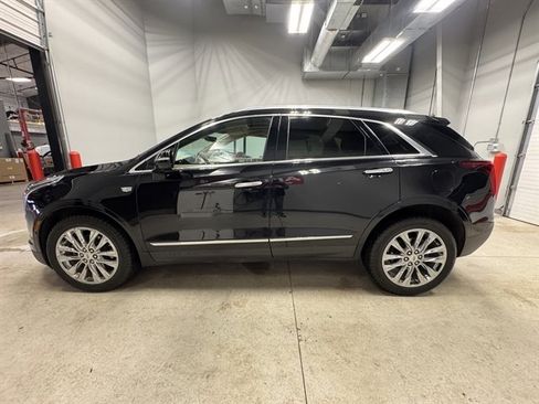 Used 2022 Cadillac XT5 Premium Luxury image 4
