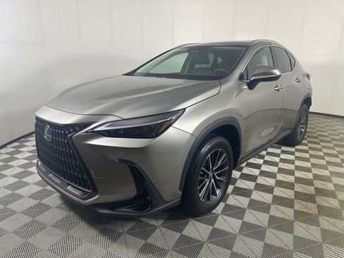 Used 2024 Lexus NX 350h AWD image 3