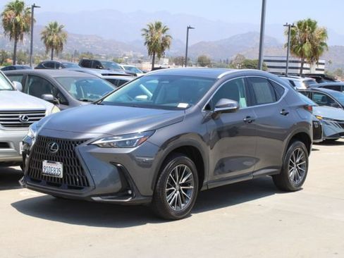 Certified 2025 Lexus NX 250 AWD w/ Cold Area Package image 3