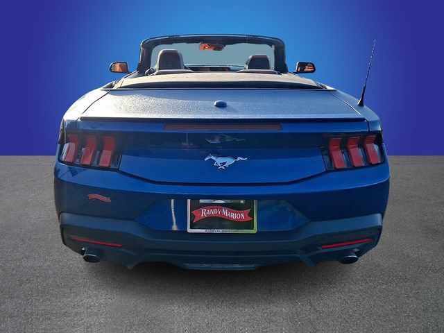Used 2024 Ford Mustang Premium RWD image 5