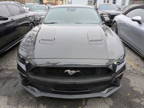 Used 2023 Ford Mustang Coupe w/ Equipment Group 101A image 2