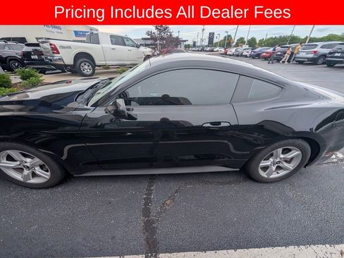 Used 2019 Ford Mustang Coupe RWD image 5