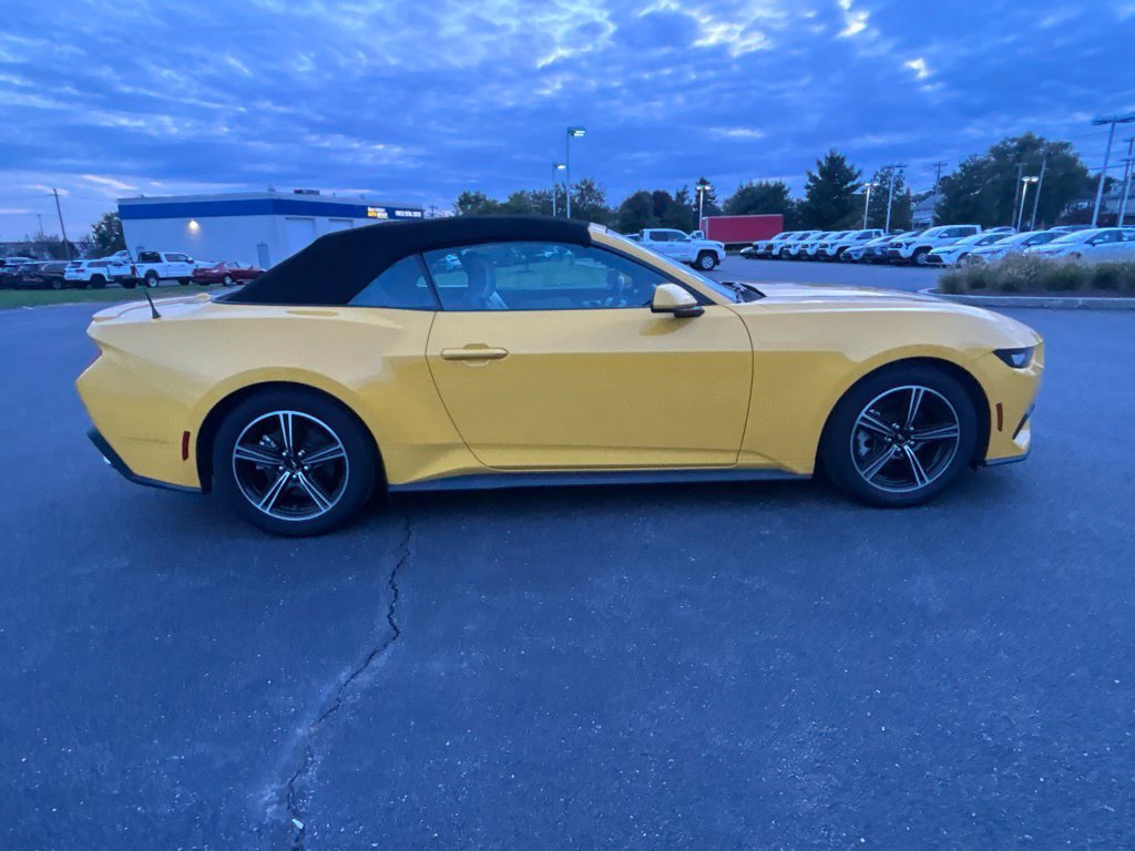 Used 2024 Ford Mustang Premium RWD image 4