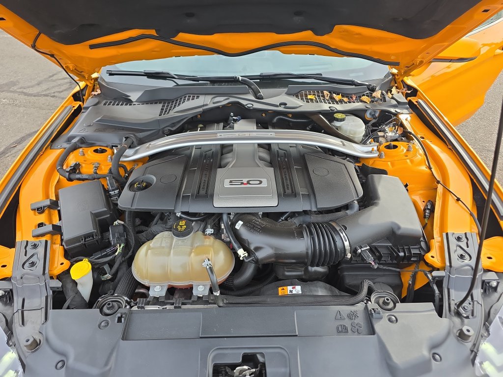 Used 2018 Ford Mustang GT Premium w/ Equipment Group 401A RWD image 35