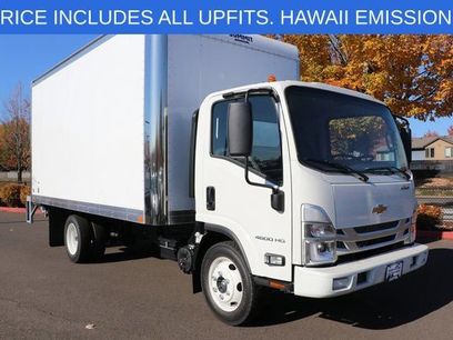 New 2025 Chevrolet Low Cab Forward